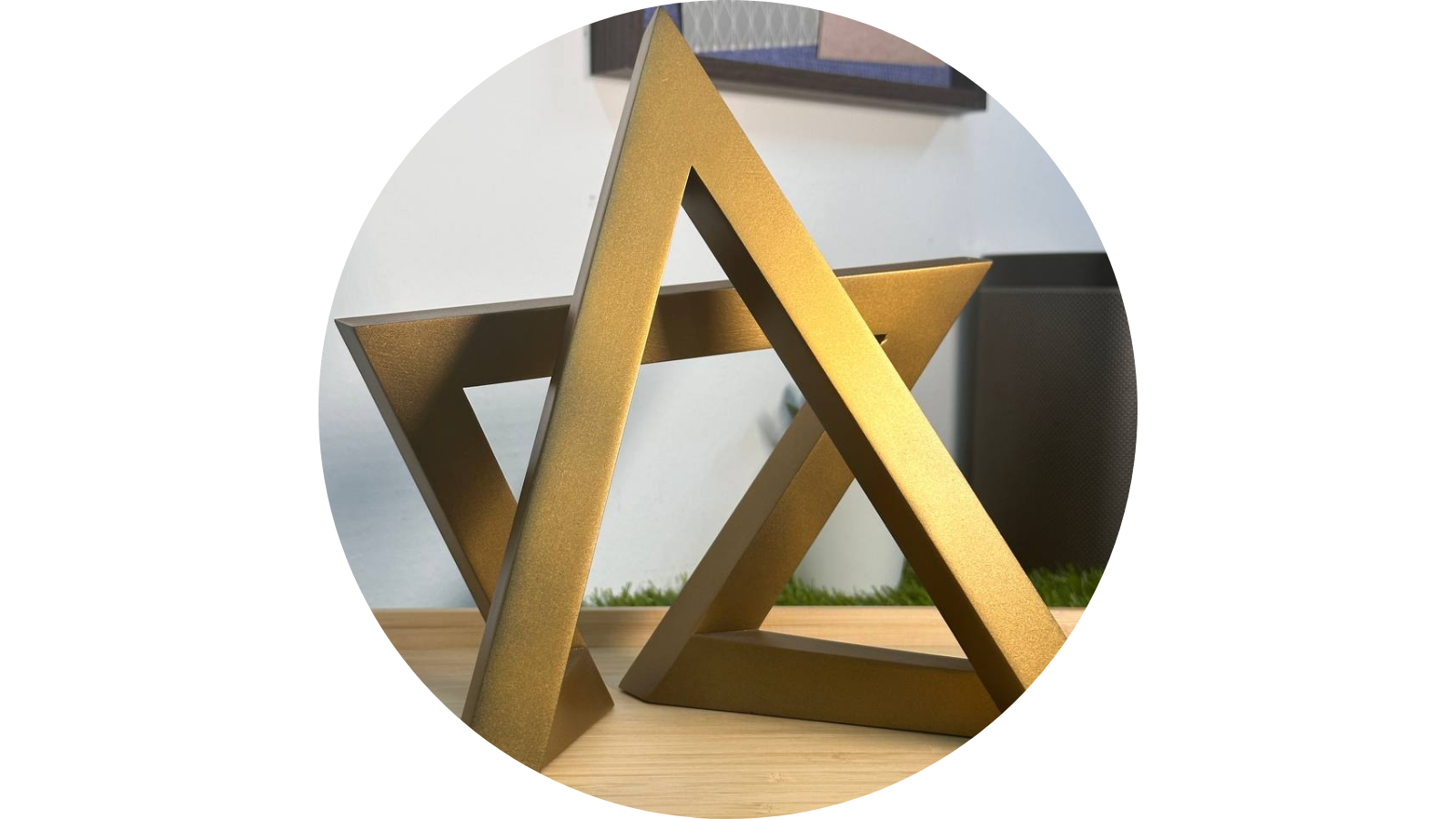 SRA Trophy, photo 4