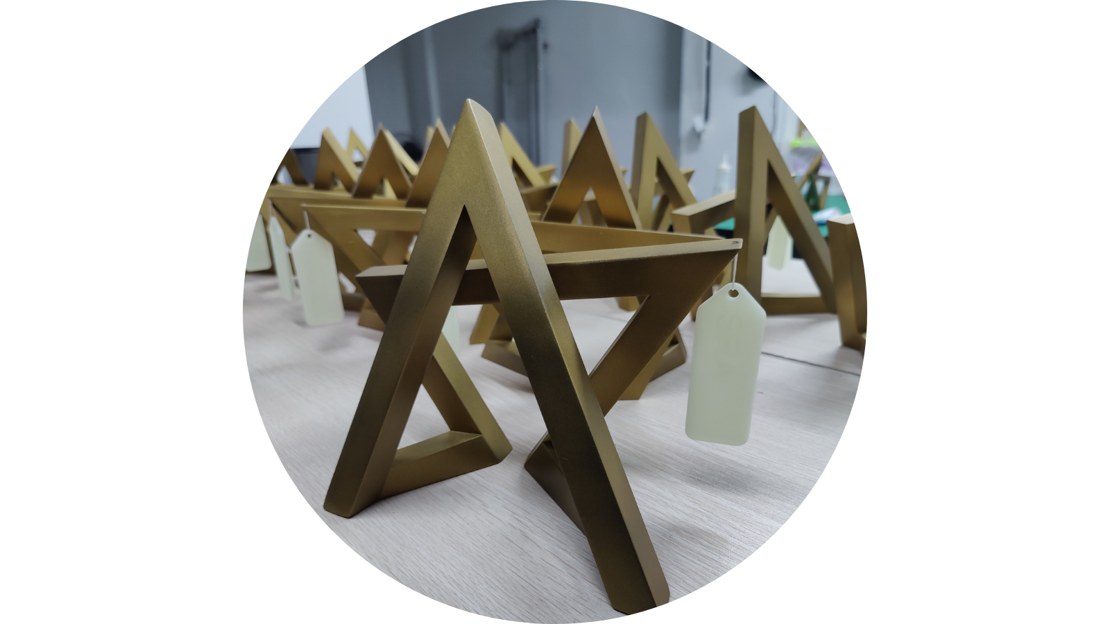 SRA Trophy, photo 3