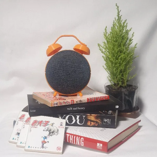 Google Nest Display