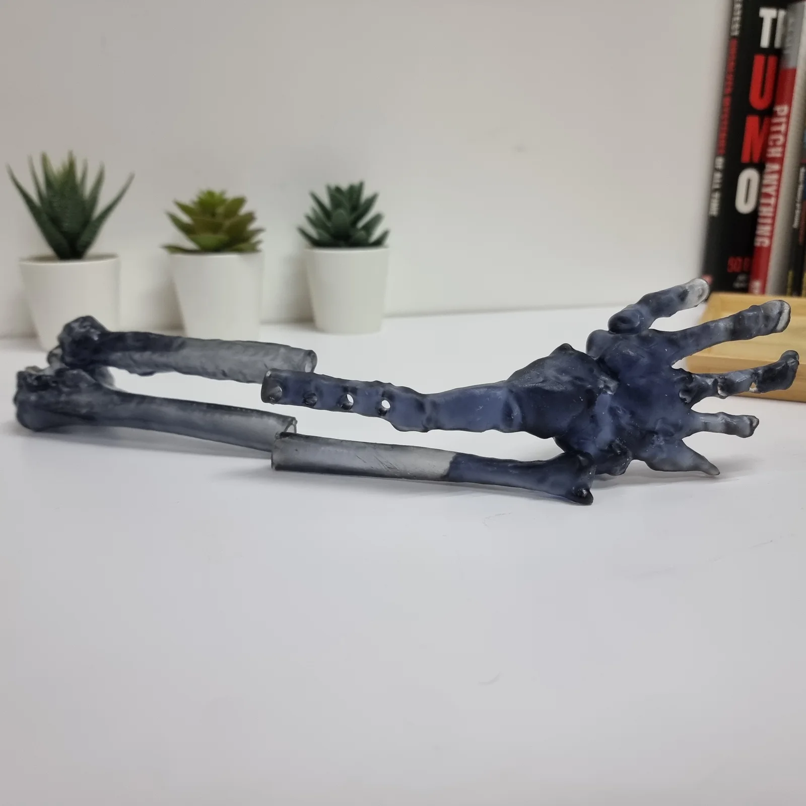 Resin-Printed Bone Model