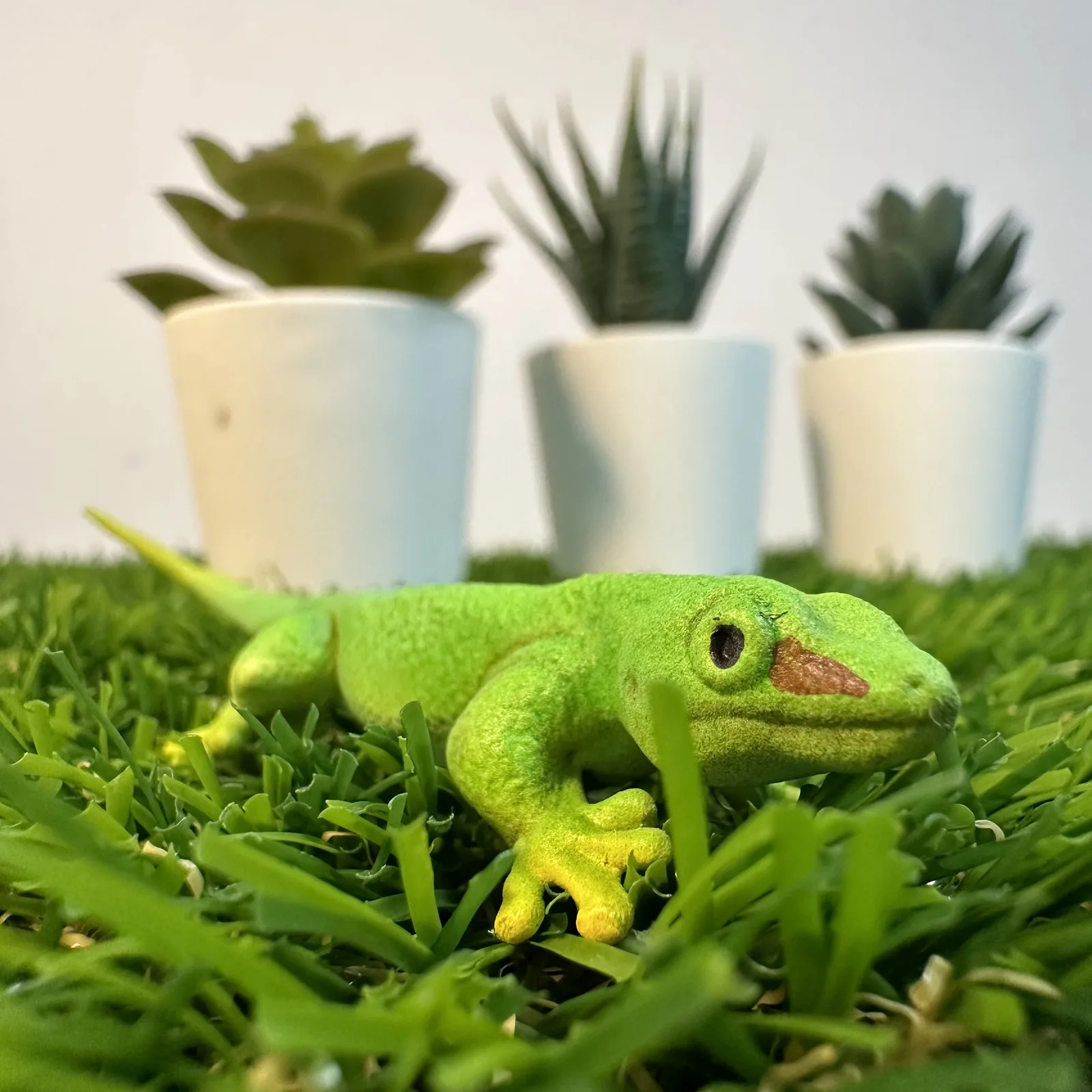 Lizard
