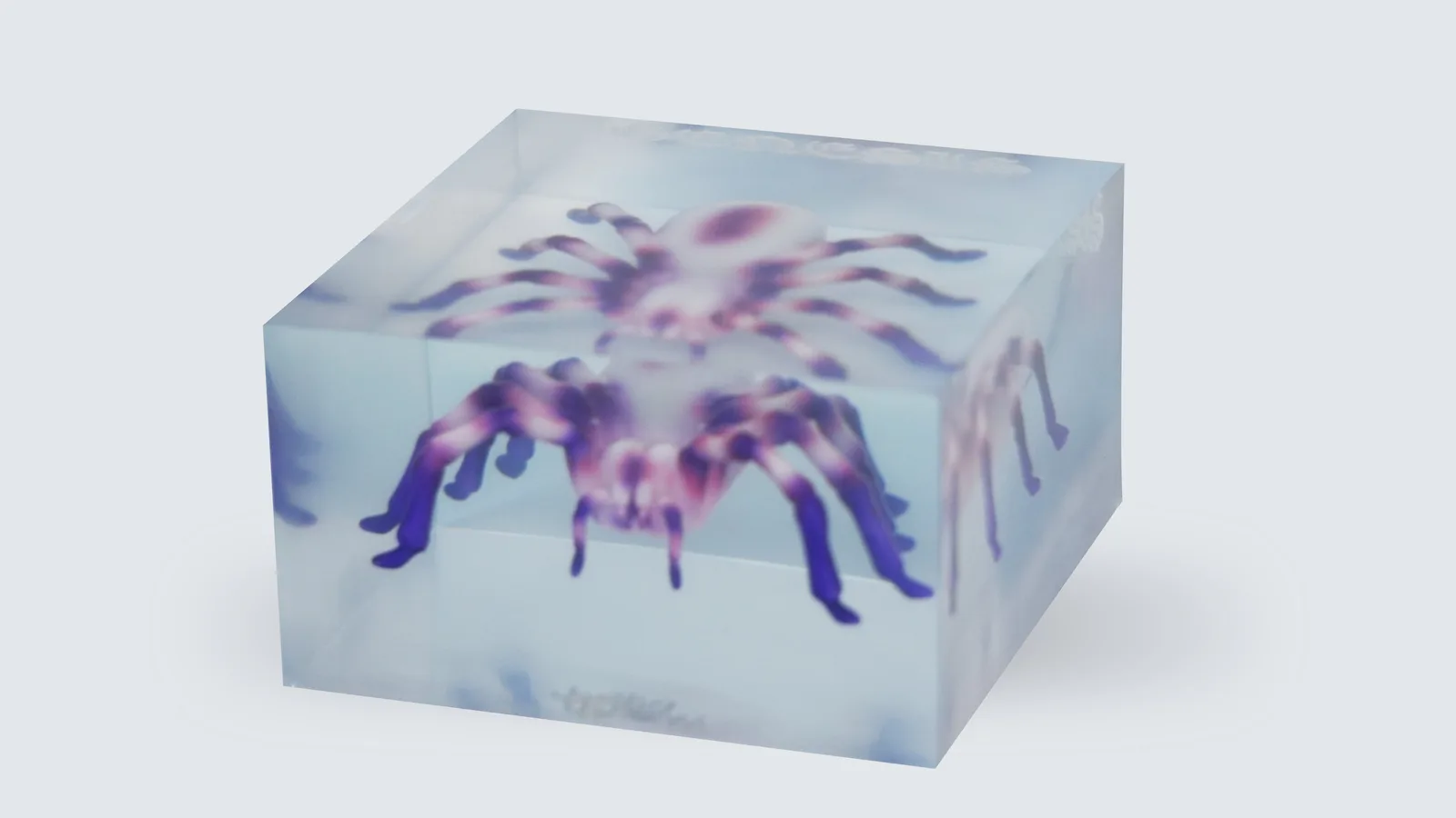 Spider Display