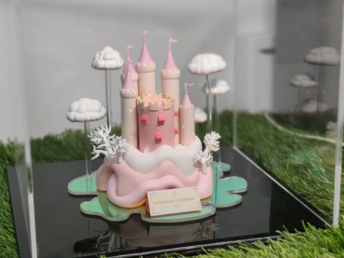 Pink fairytale castle display piece for Supercoach Academy